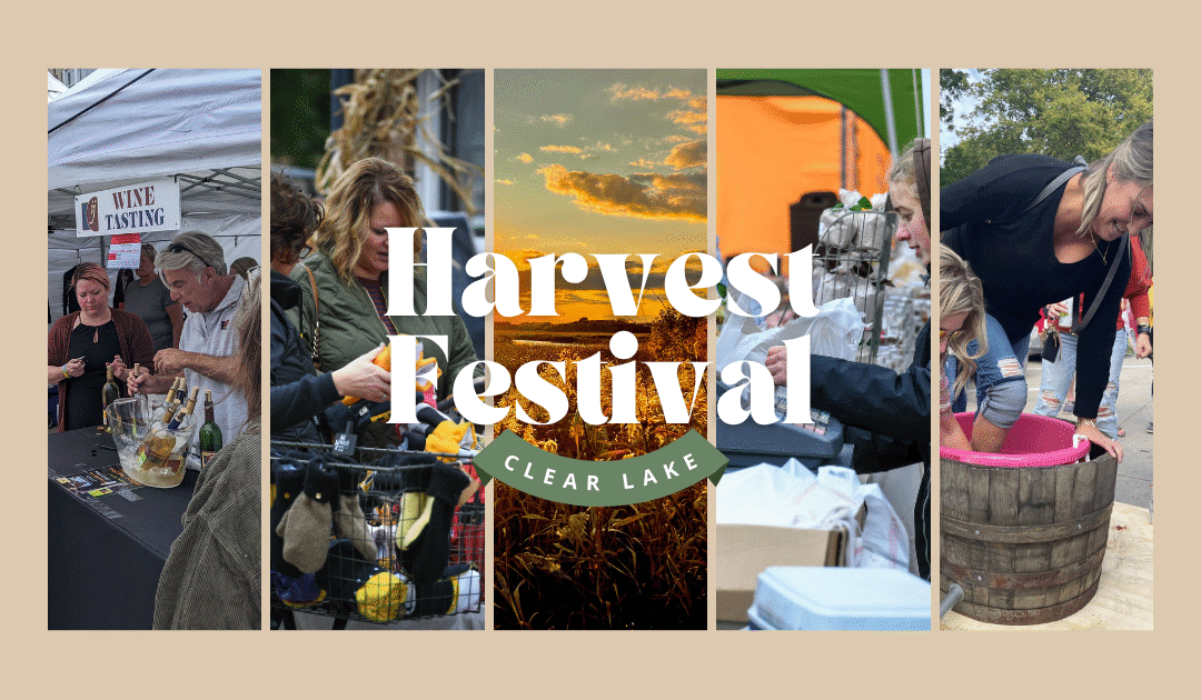 Harvest Festival 2025 Recap Gallery