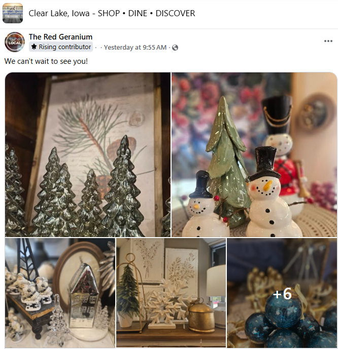 Red Geranium Holiday Decor