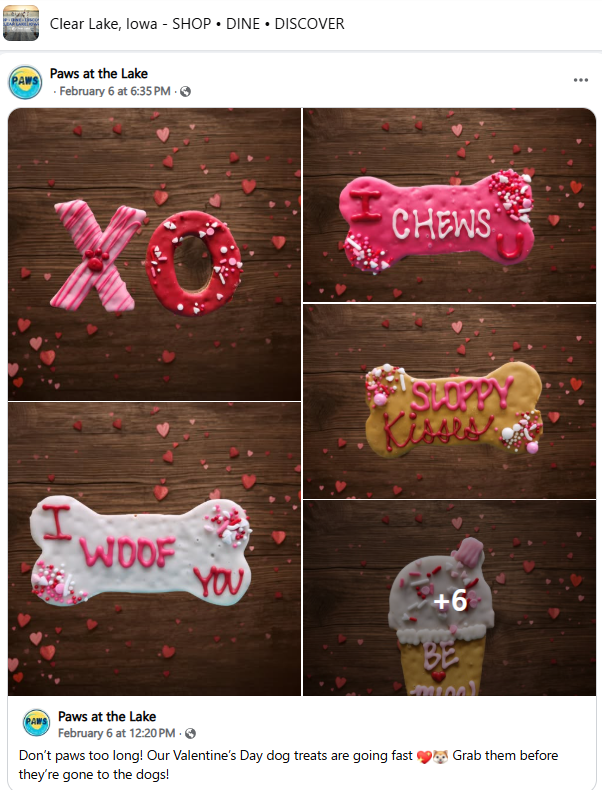 Paws at the Lake Valentines treats