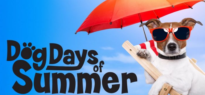 Dog Days Of Summer Clear Lake Iowa